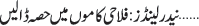 March 09 2025