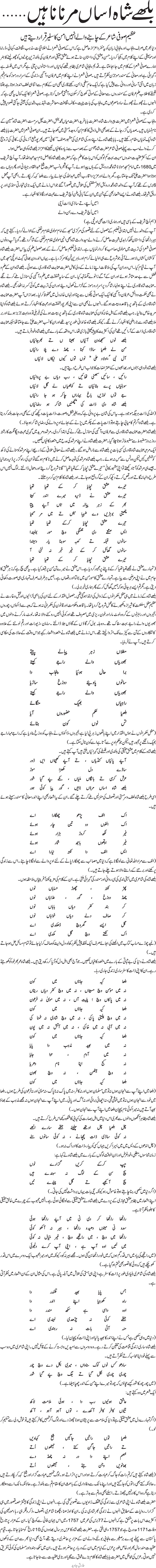 detail/0371.jpg
