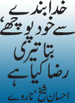 headers/0273.jpg