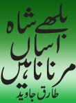 headers/0371.jpg