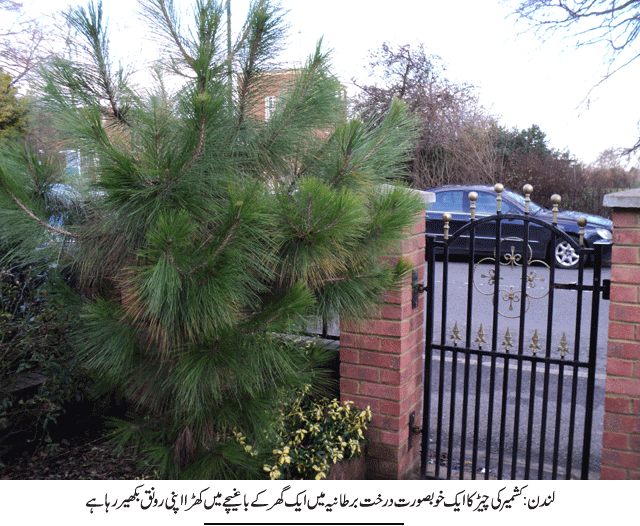 News in Detail