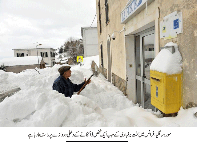 News in Detail