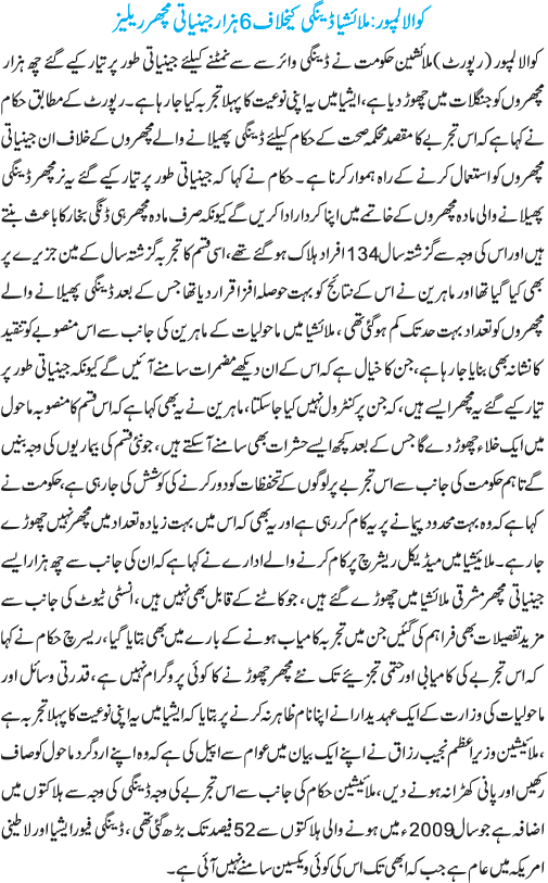 News in Detail