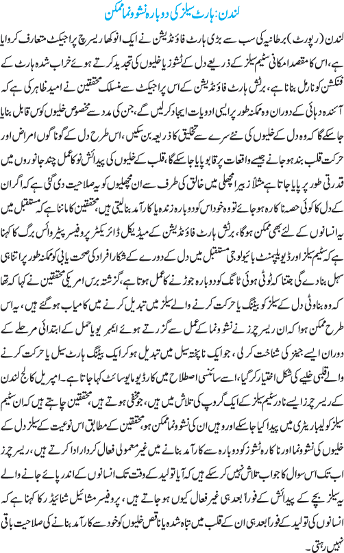 News in Detail