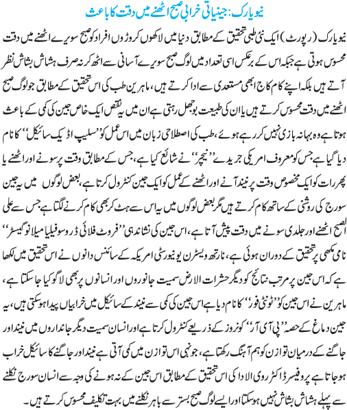 News in Detail