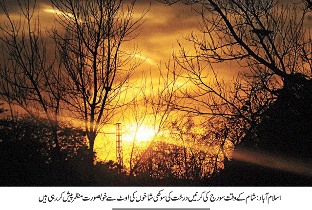 News in Detail