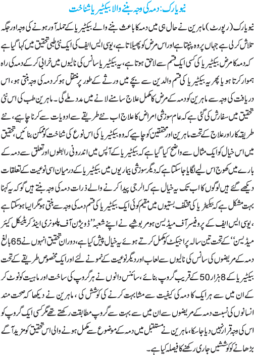 News in Detail