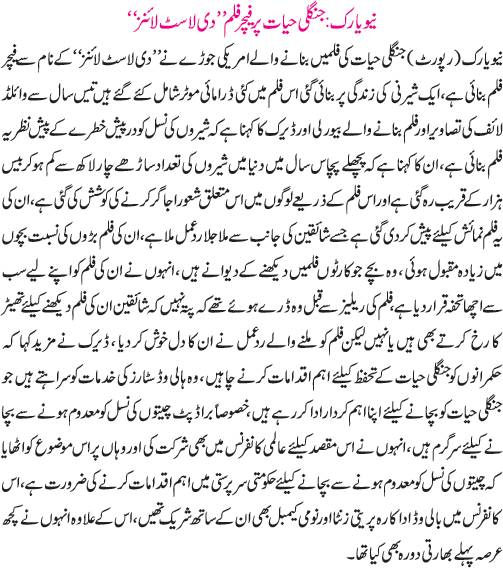 News in Detail