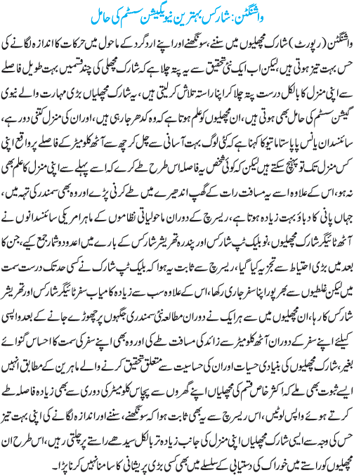 News in Detail