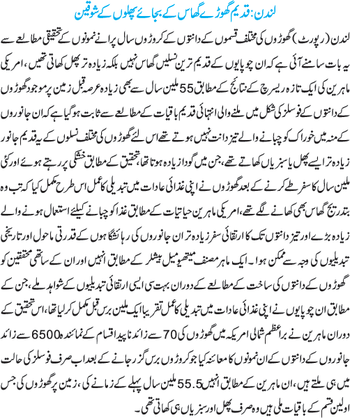 News in Detail