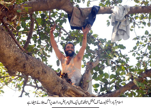 News in Detail