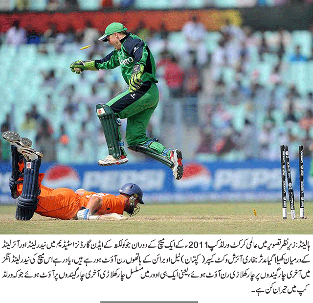 News in Detail
