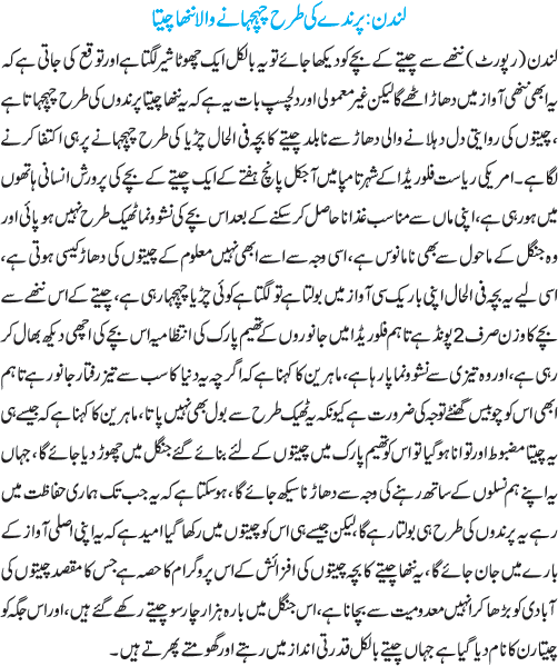 News in Detail