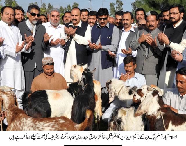 News in Detail