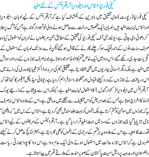 News in Detail