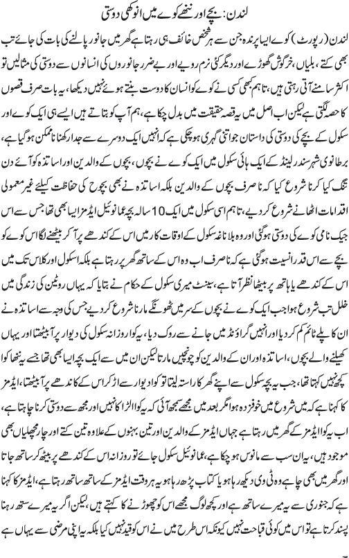 News in Detail