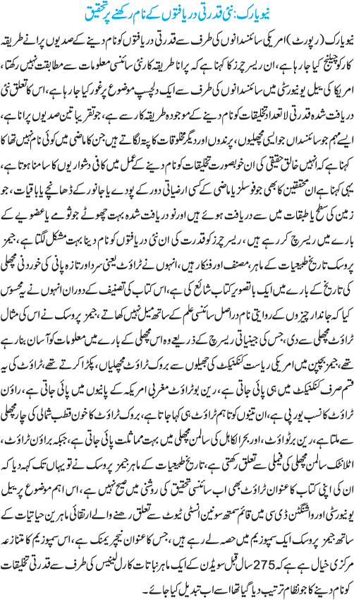 News in Detail
