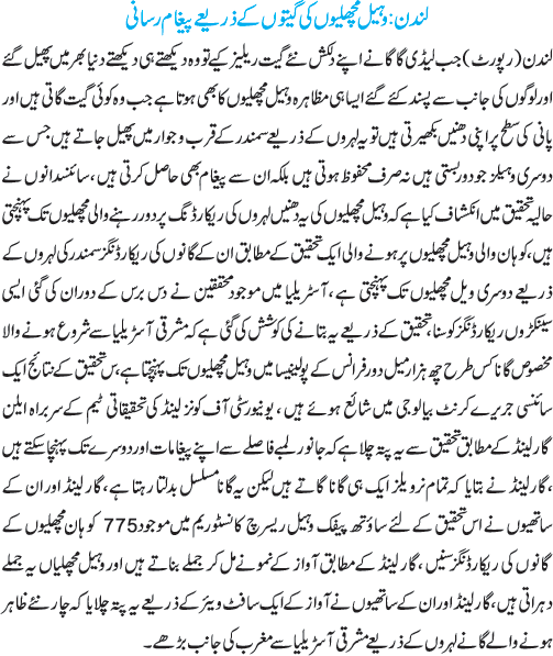 News in Detail
