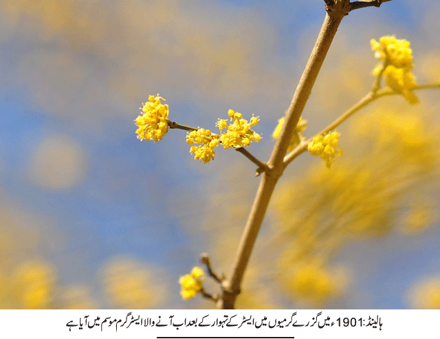 News in Detail