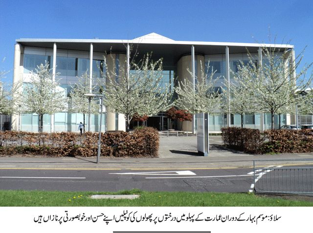 News in Detail