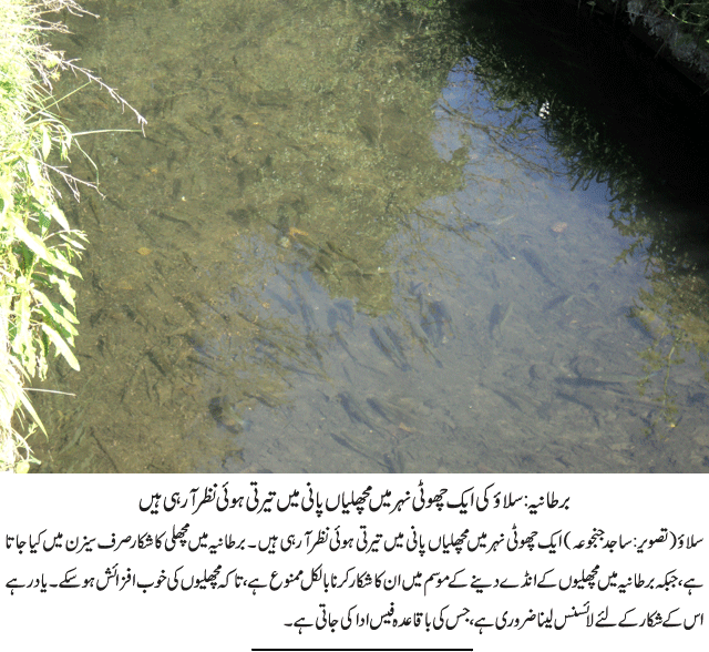 News in Detail