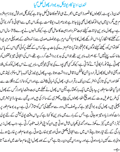 News in Detail
